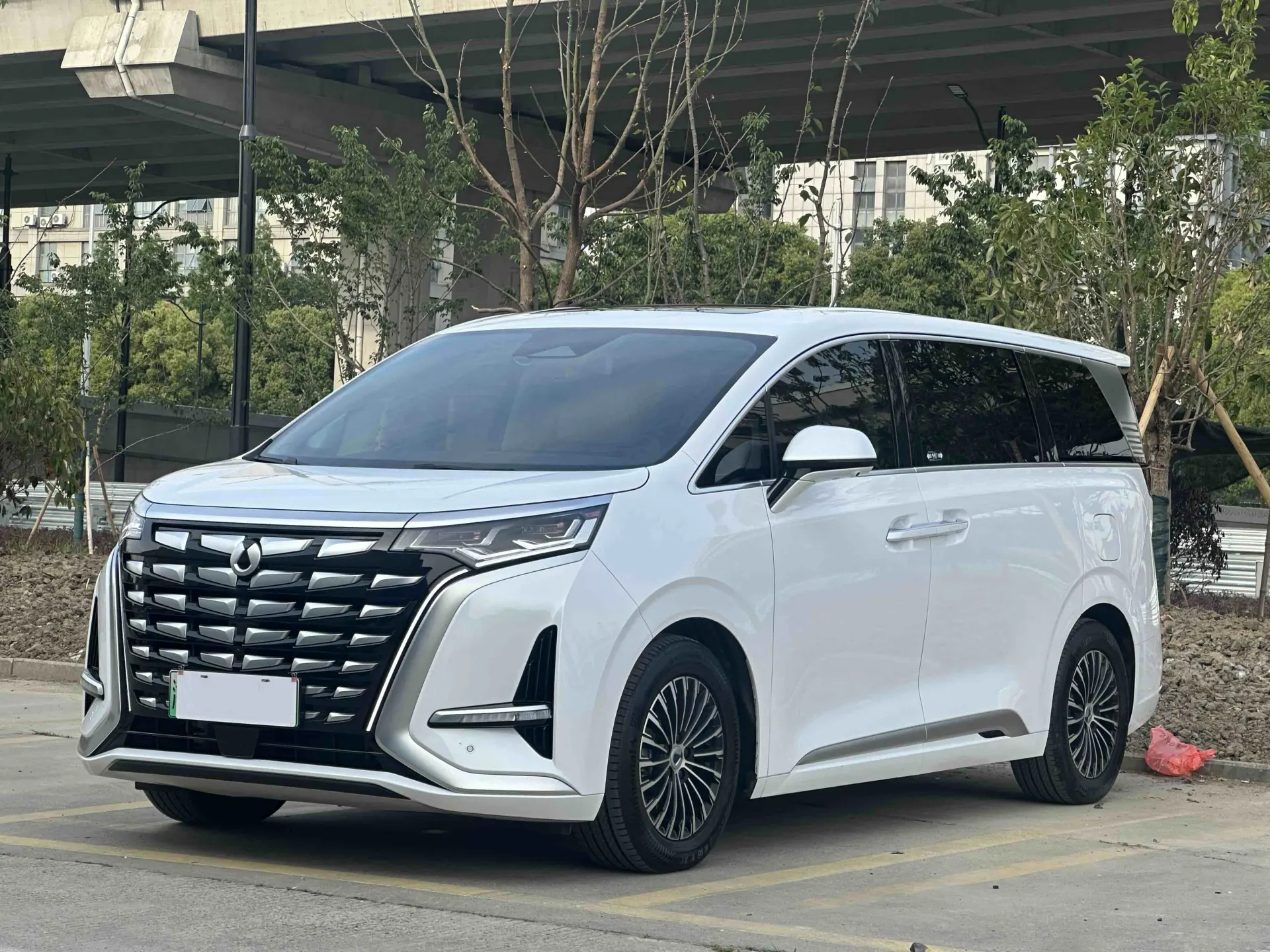 Denza D9