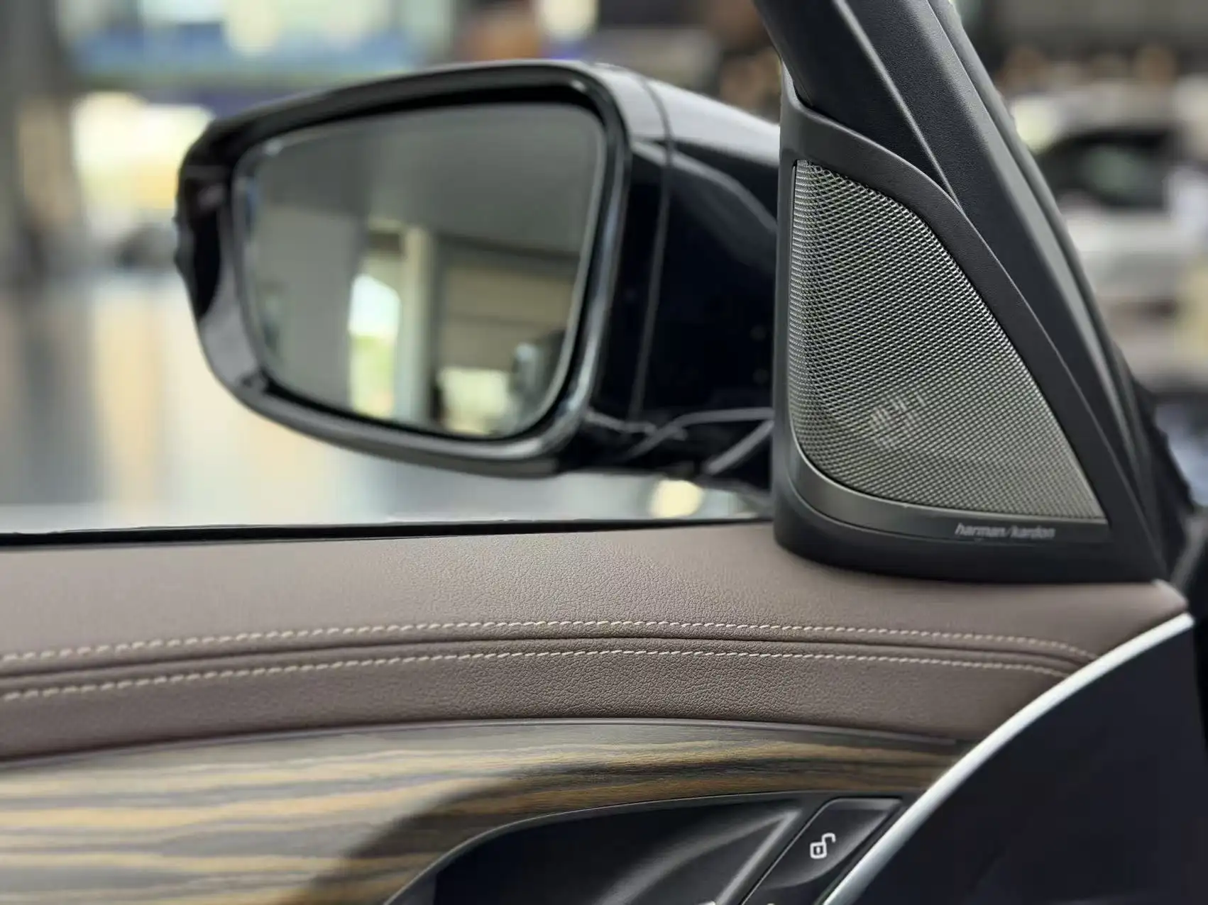 BMW 530Li, 2023 18