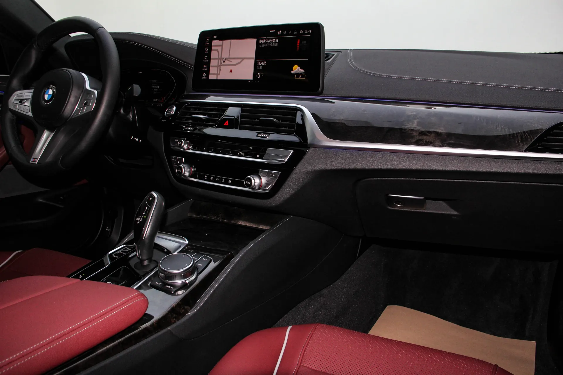 BMW 530Li, 2023 25