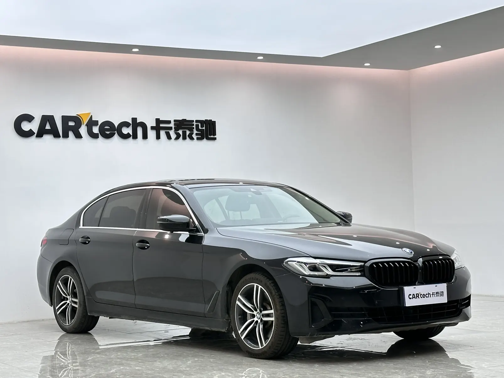 BMW 530Li, 2020 6
