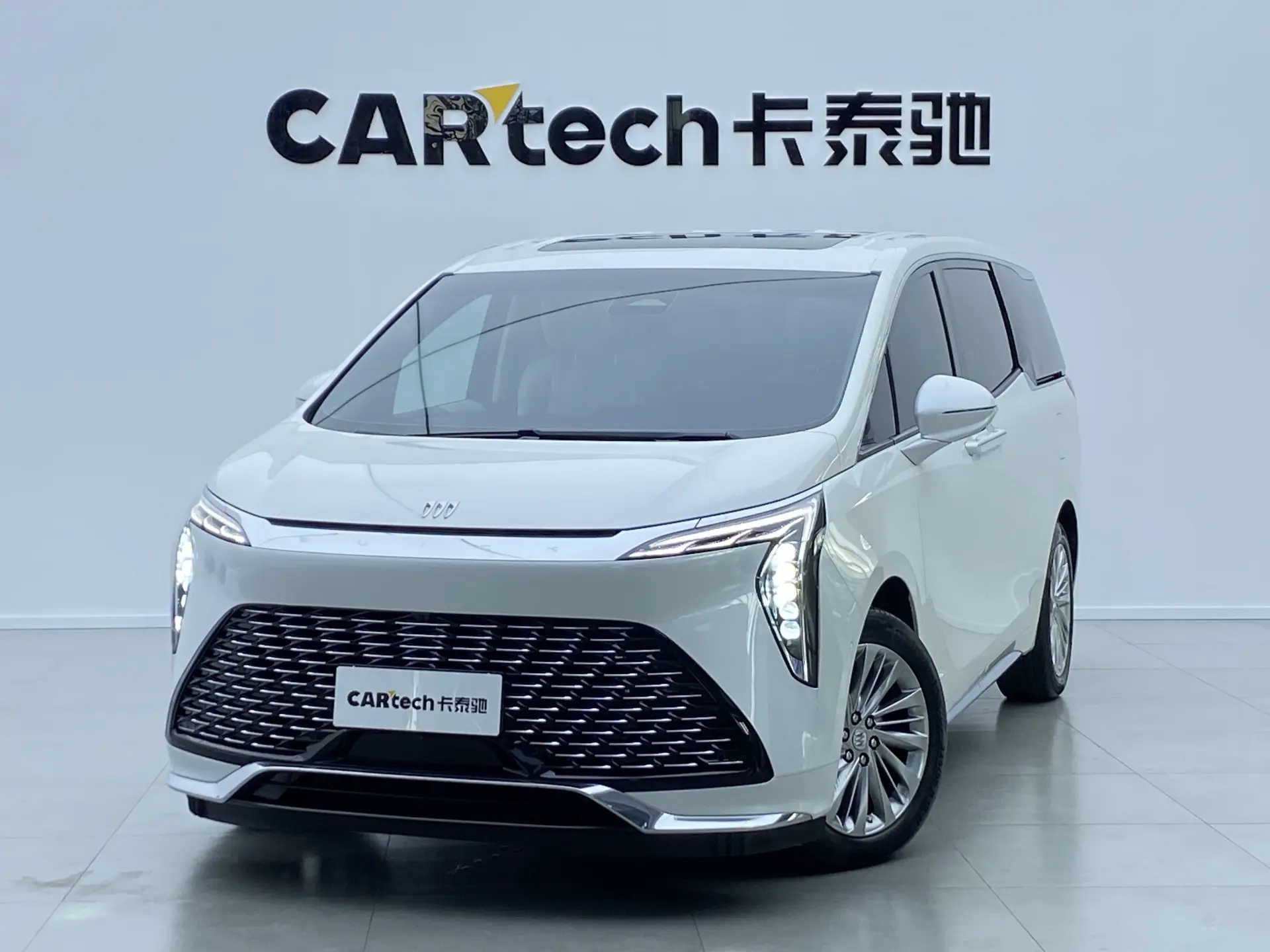 Buick Century, 2023 все фото