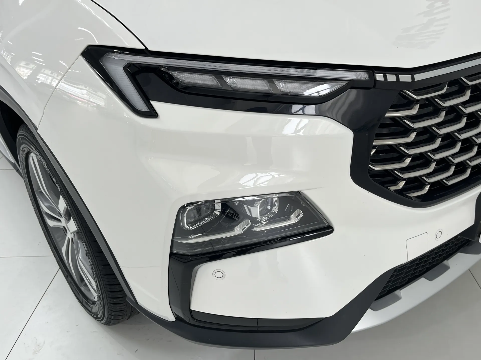Ford Equator Sport, 2024 8