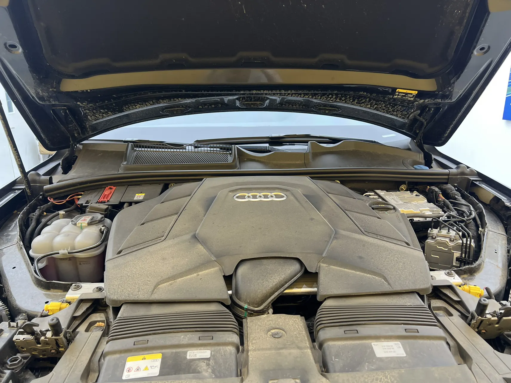 Audi Q7 55 TFSI, 2025 10