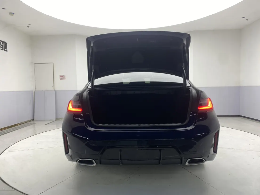 BMW 325Li, 2025 29