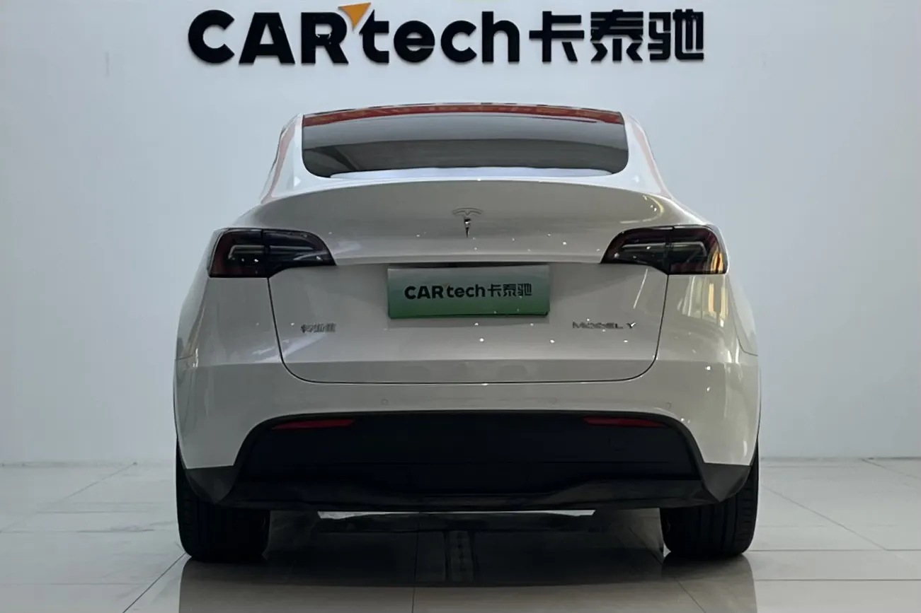 Tesla Model Y, 2021 4