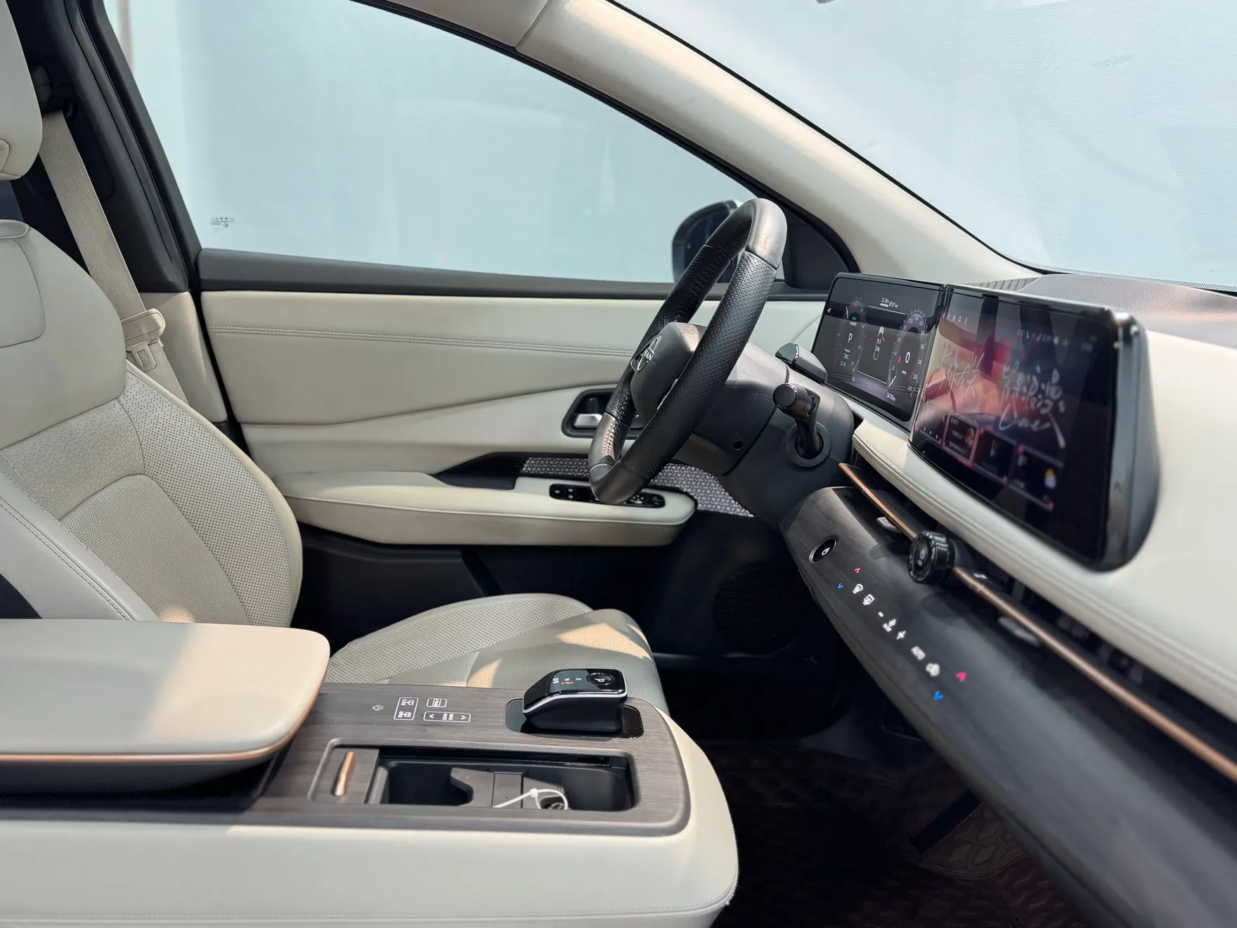 Nissan Ariya, 2024 13