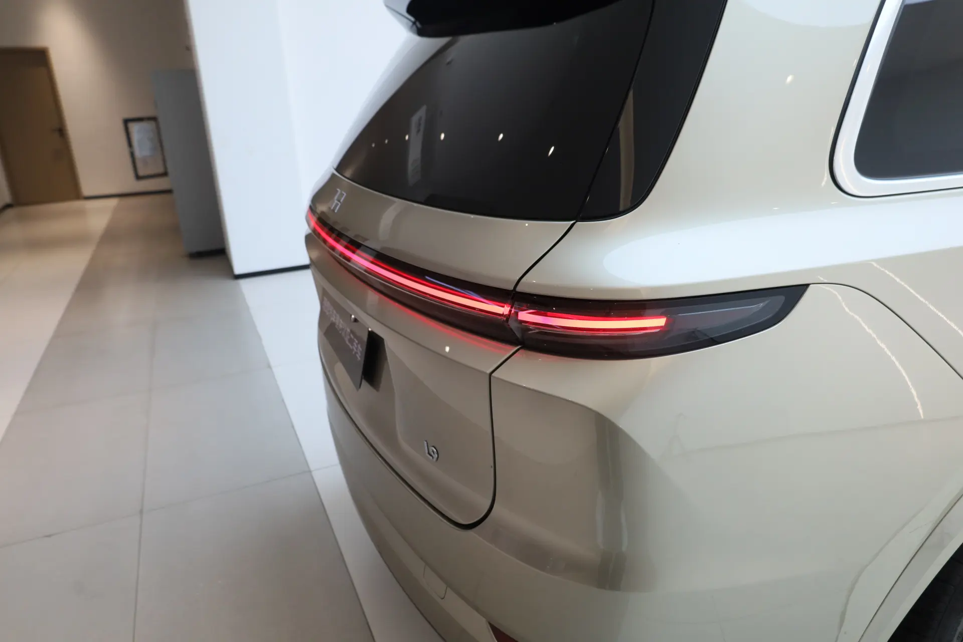 Li Auto L9, 2023 10