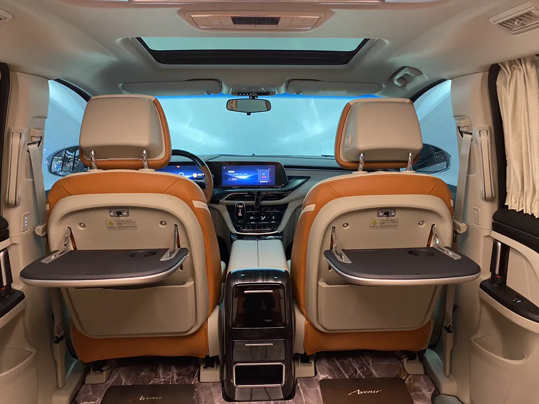 Buick GL8, 2023 34