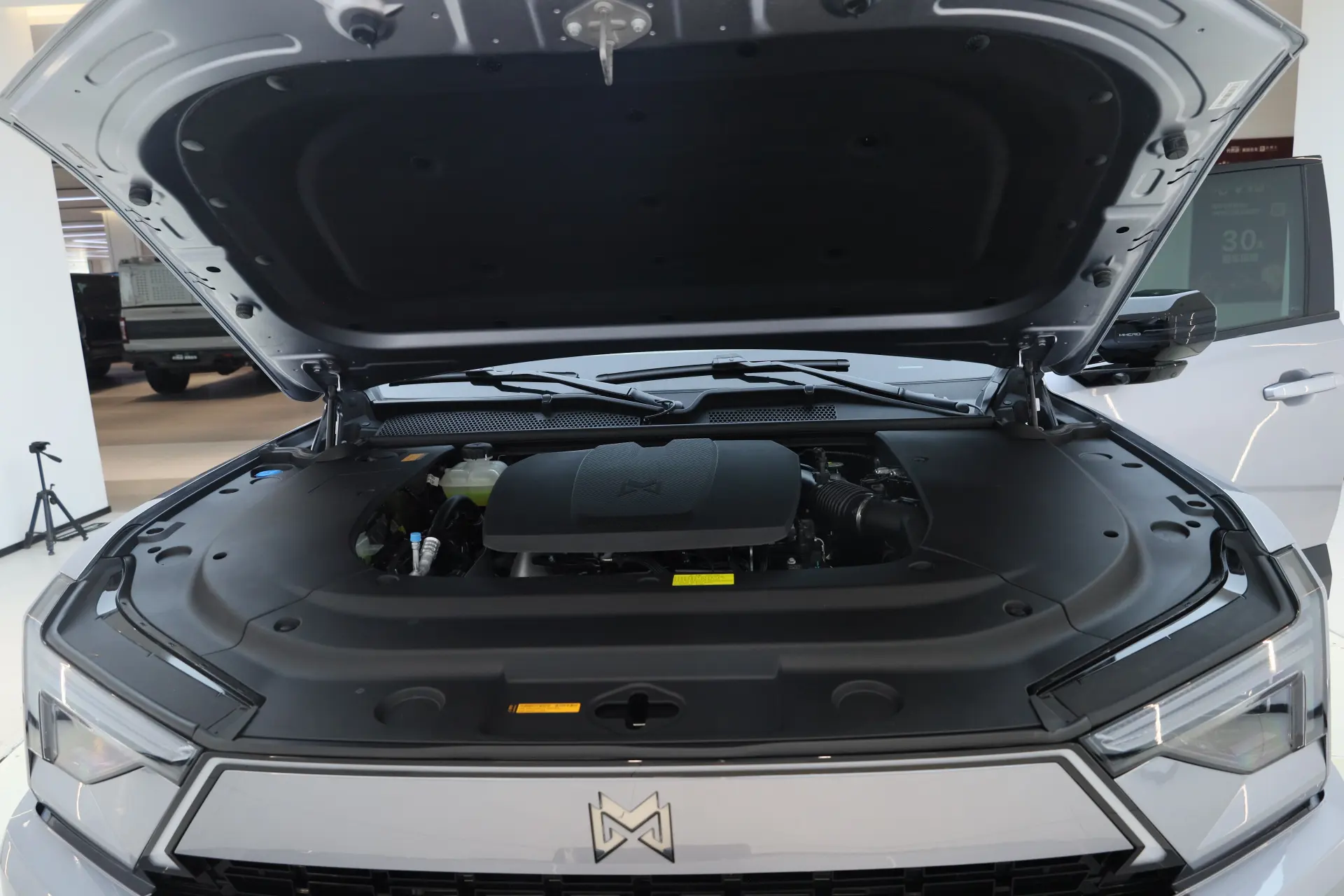 M-Hero M817, 2025 12