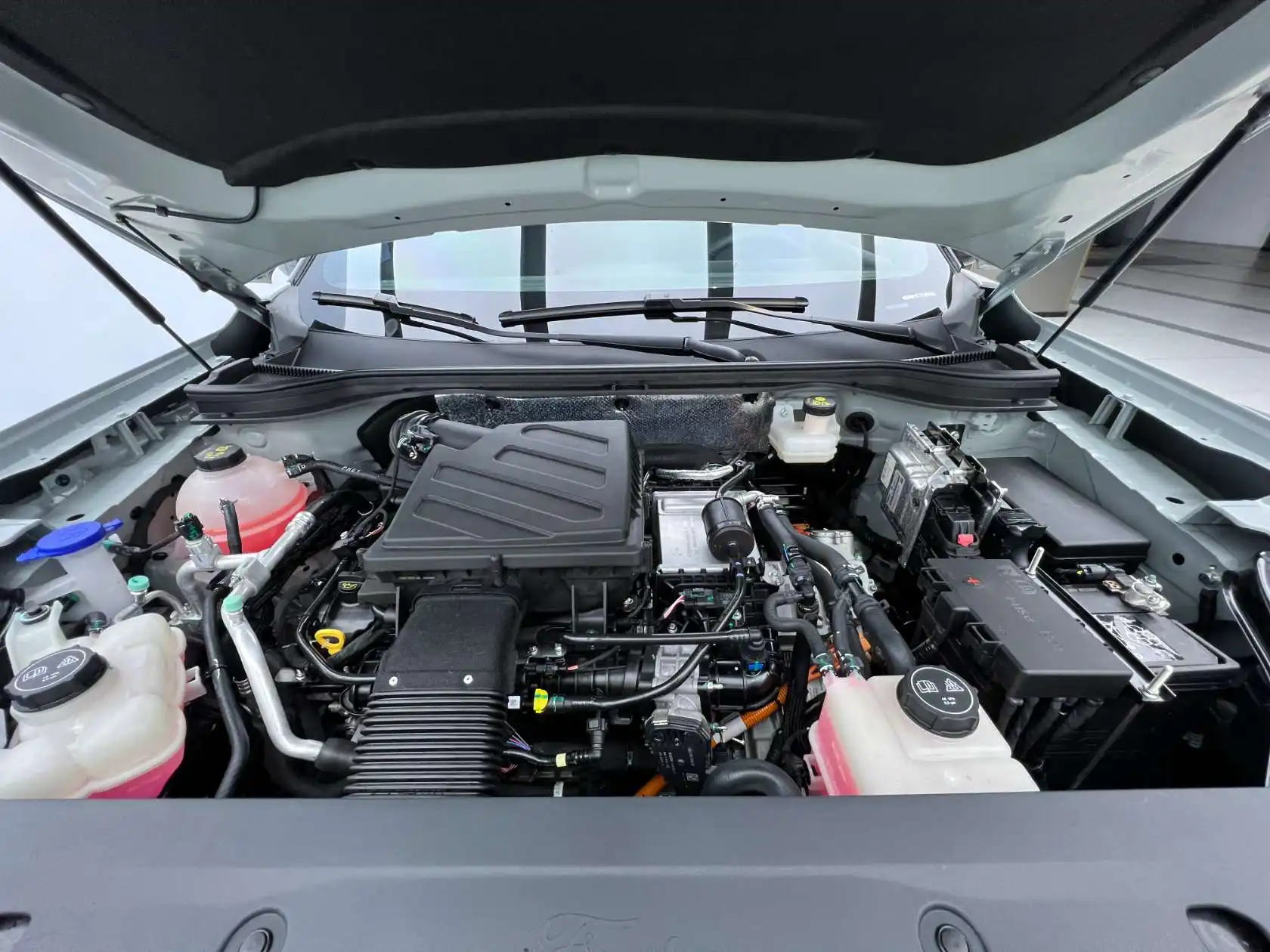 Ford Equator Sport, 2025 25
