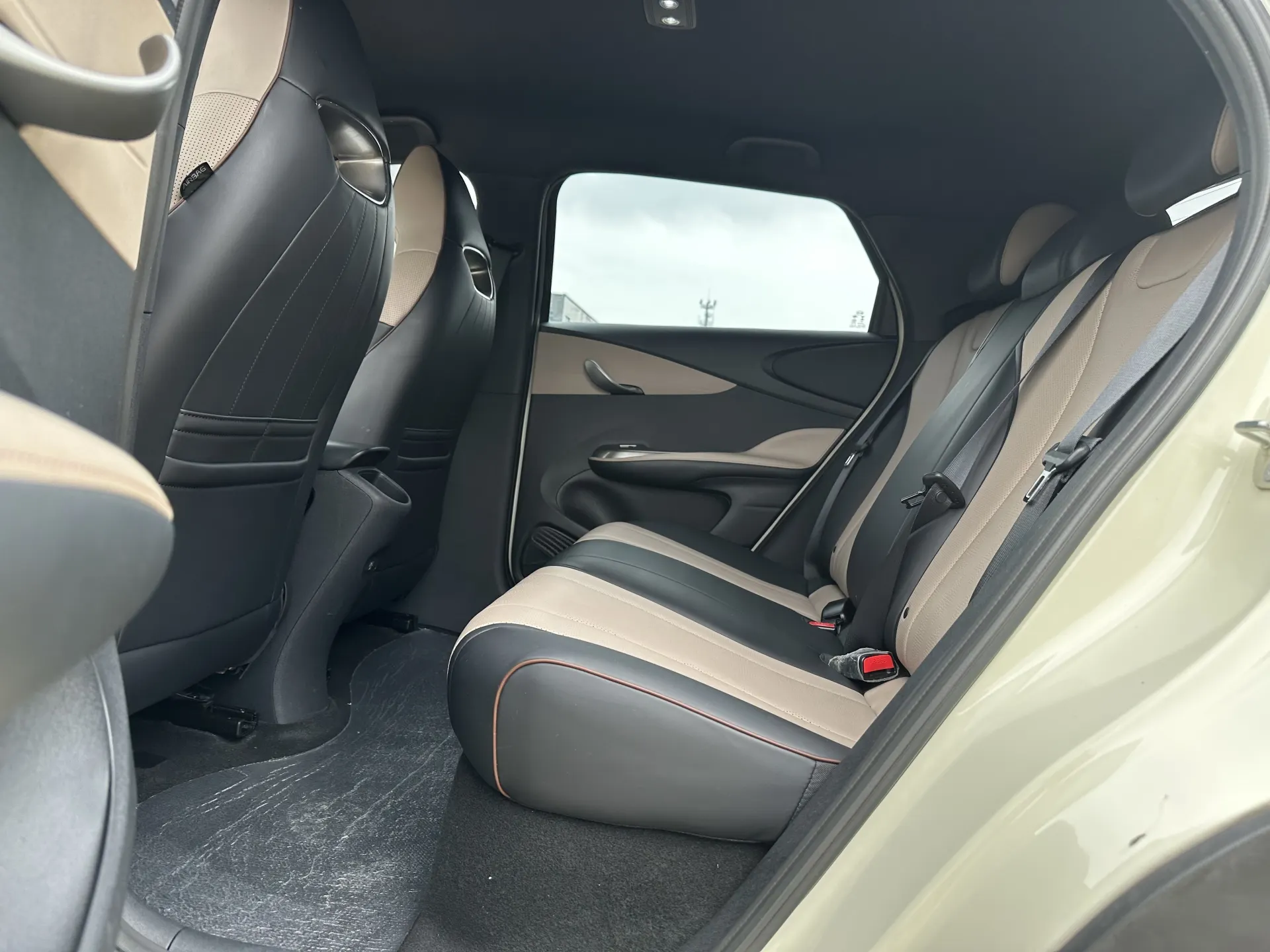 BYD Dolphin, 2023 15
