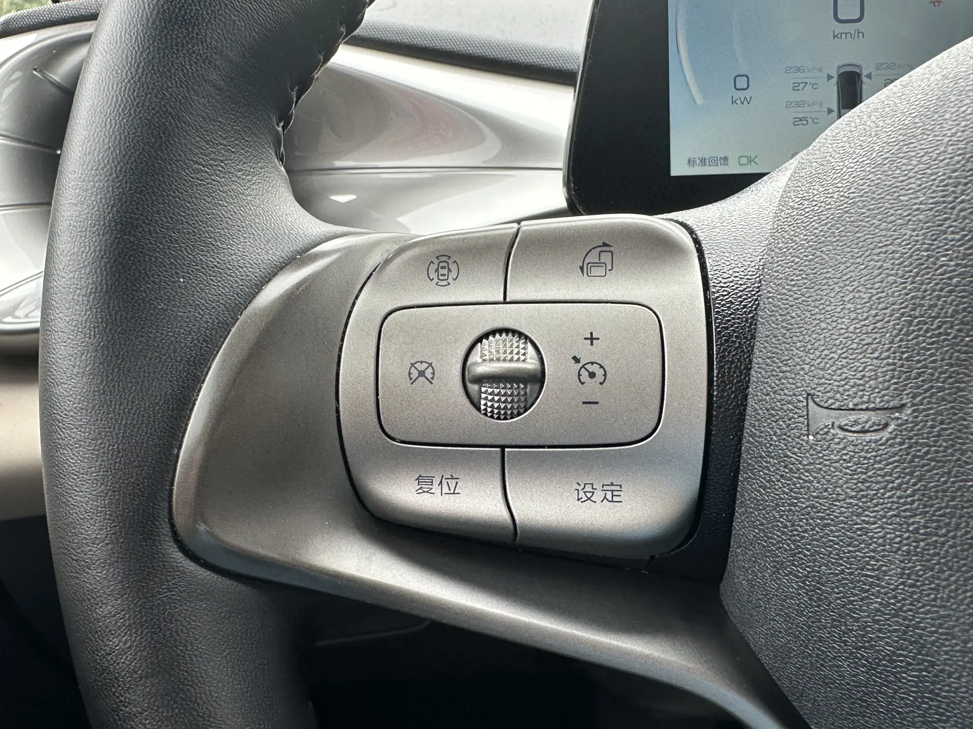 BYD Dolphin, 2023 12