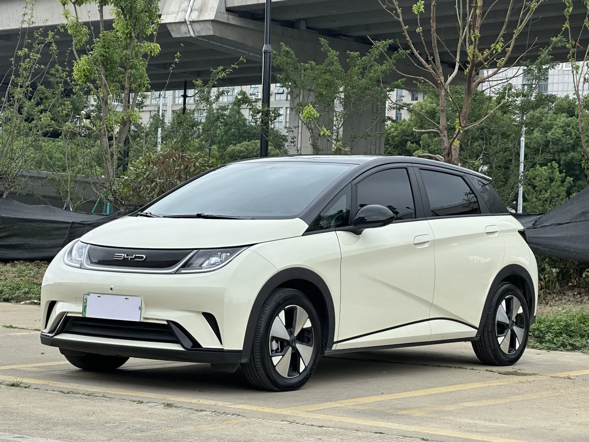 BYD Dolphin