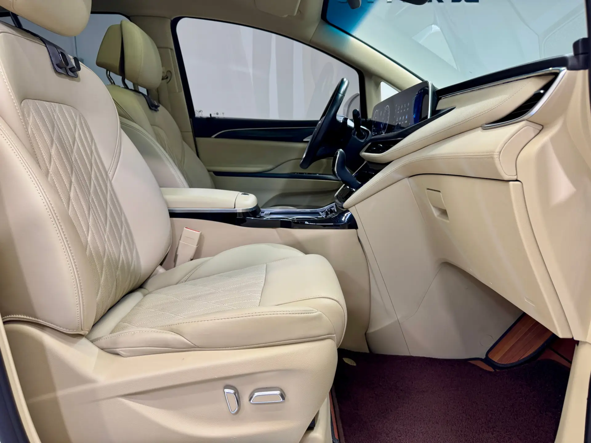 Buick GL8, 2022 8