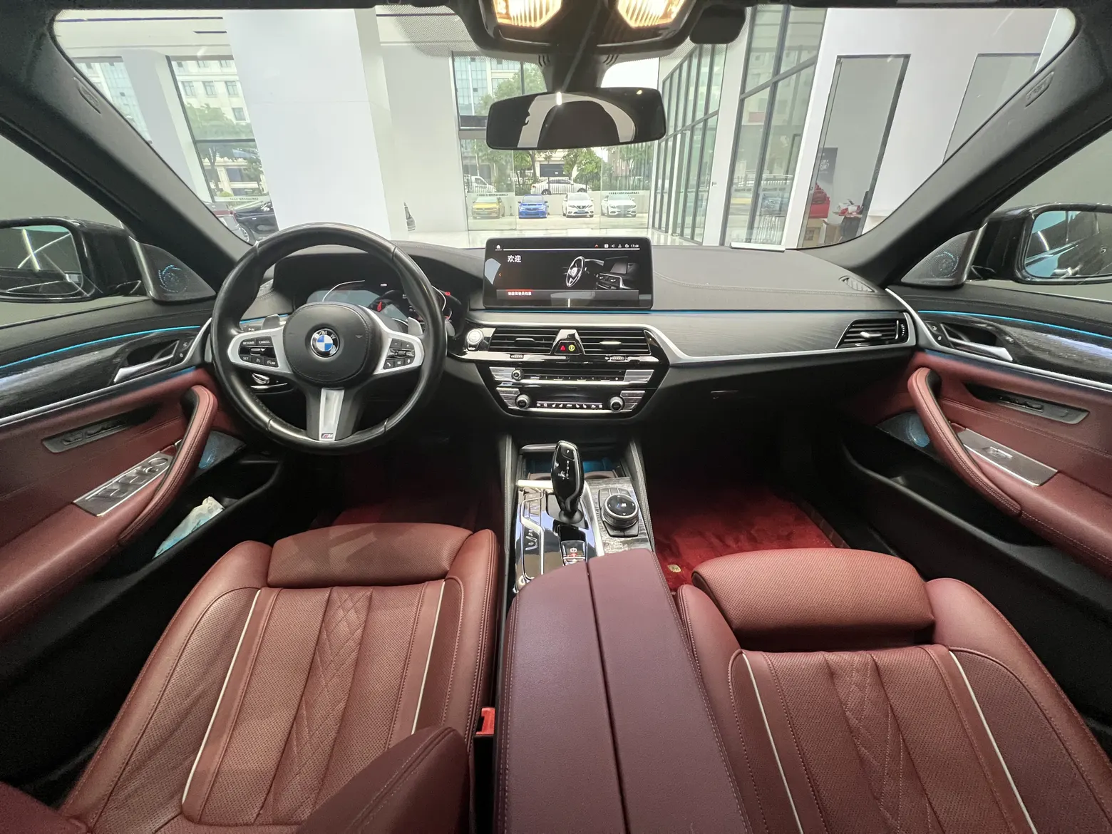 BMW 530Li, 2023 11