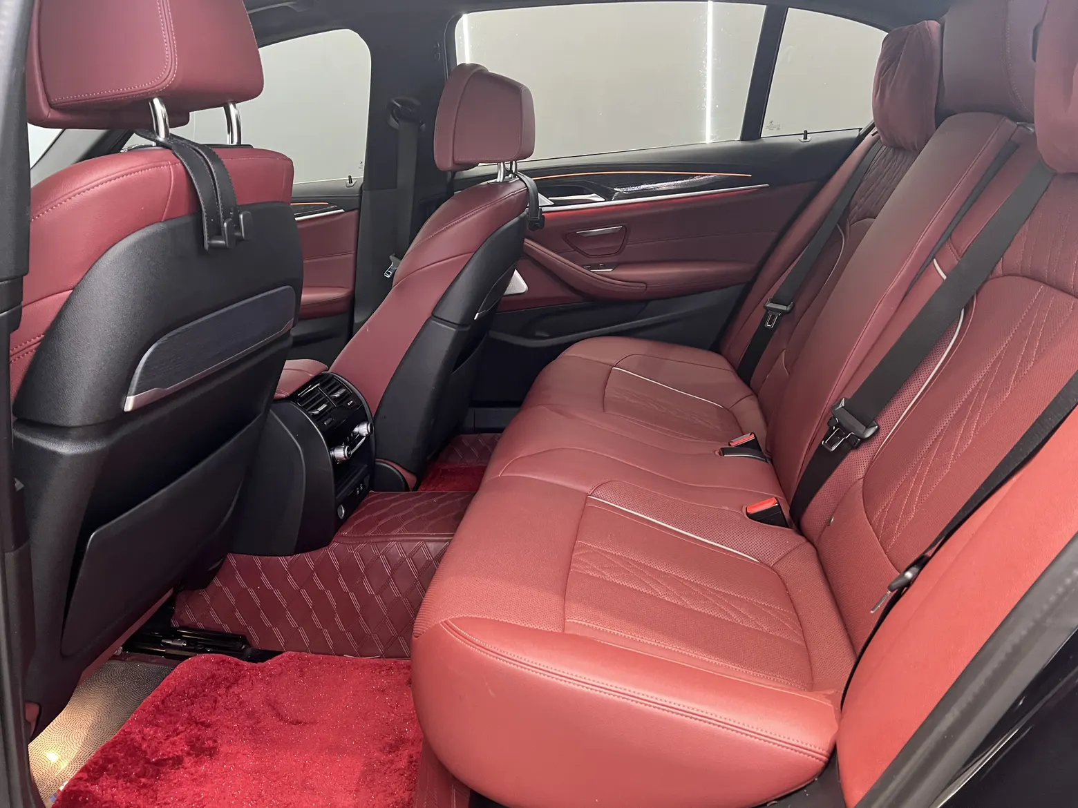 BMW 530Li, 2023 25