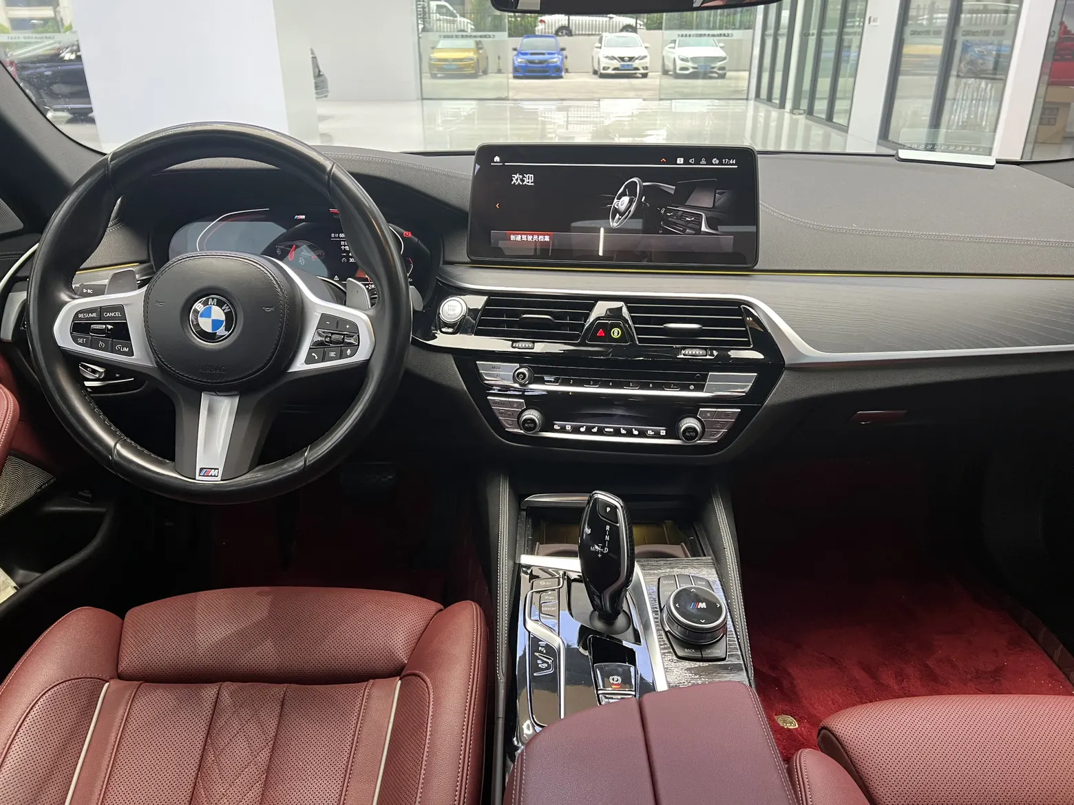 BMW 530Li, 2023 19