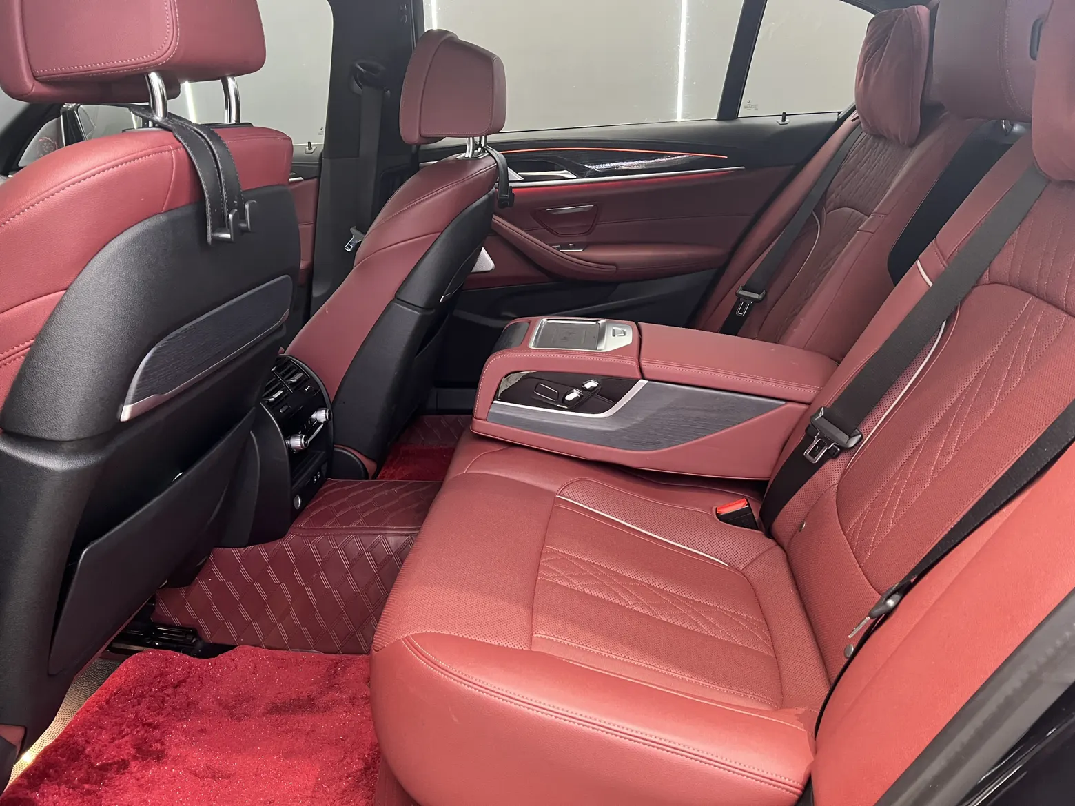 BMW 530Li, 2023 16