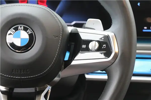 BMW 735Li, 2023 19