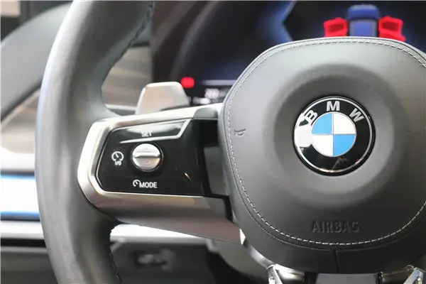 BMW 735Li, 2023 18