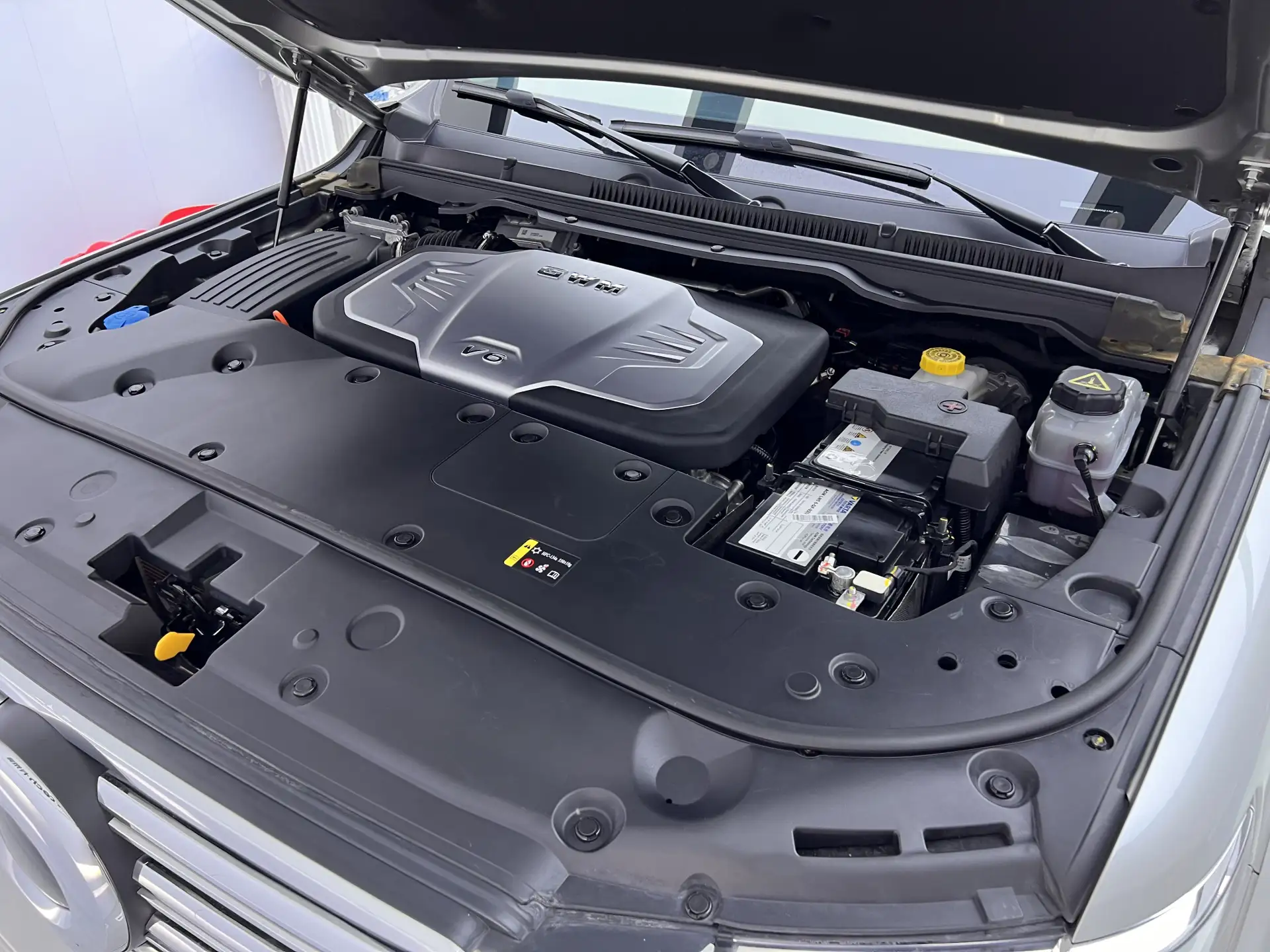 Great Wall Poer, 2023 12