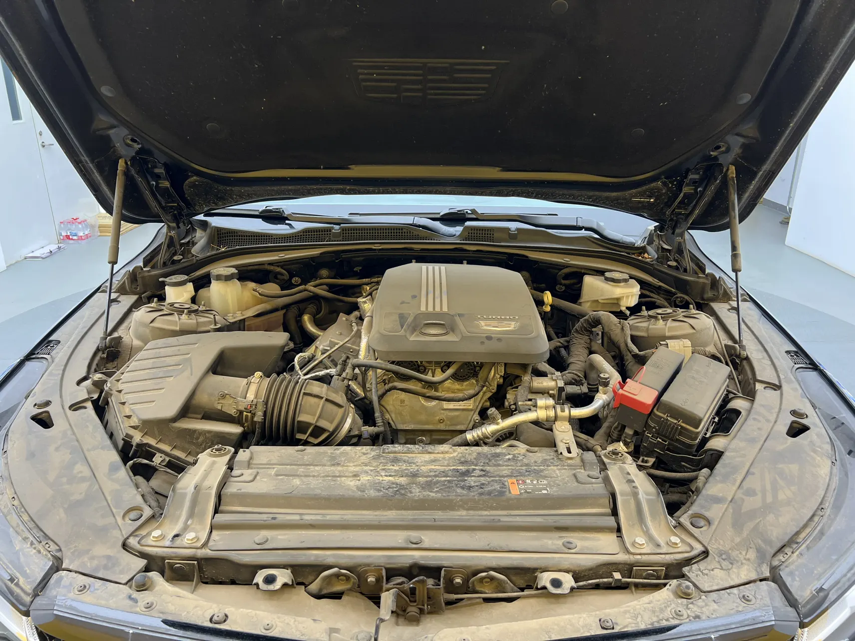 Cadillac CT4, 2023 11