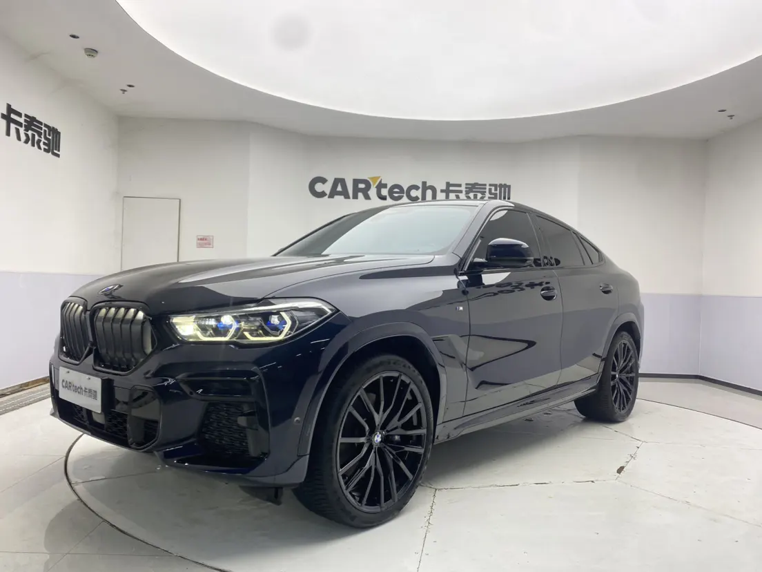 BMW X6