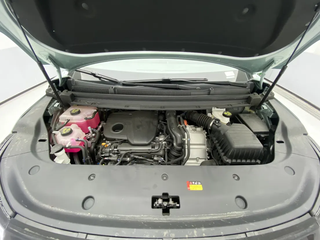 Maxus 7, 2025 11