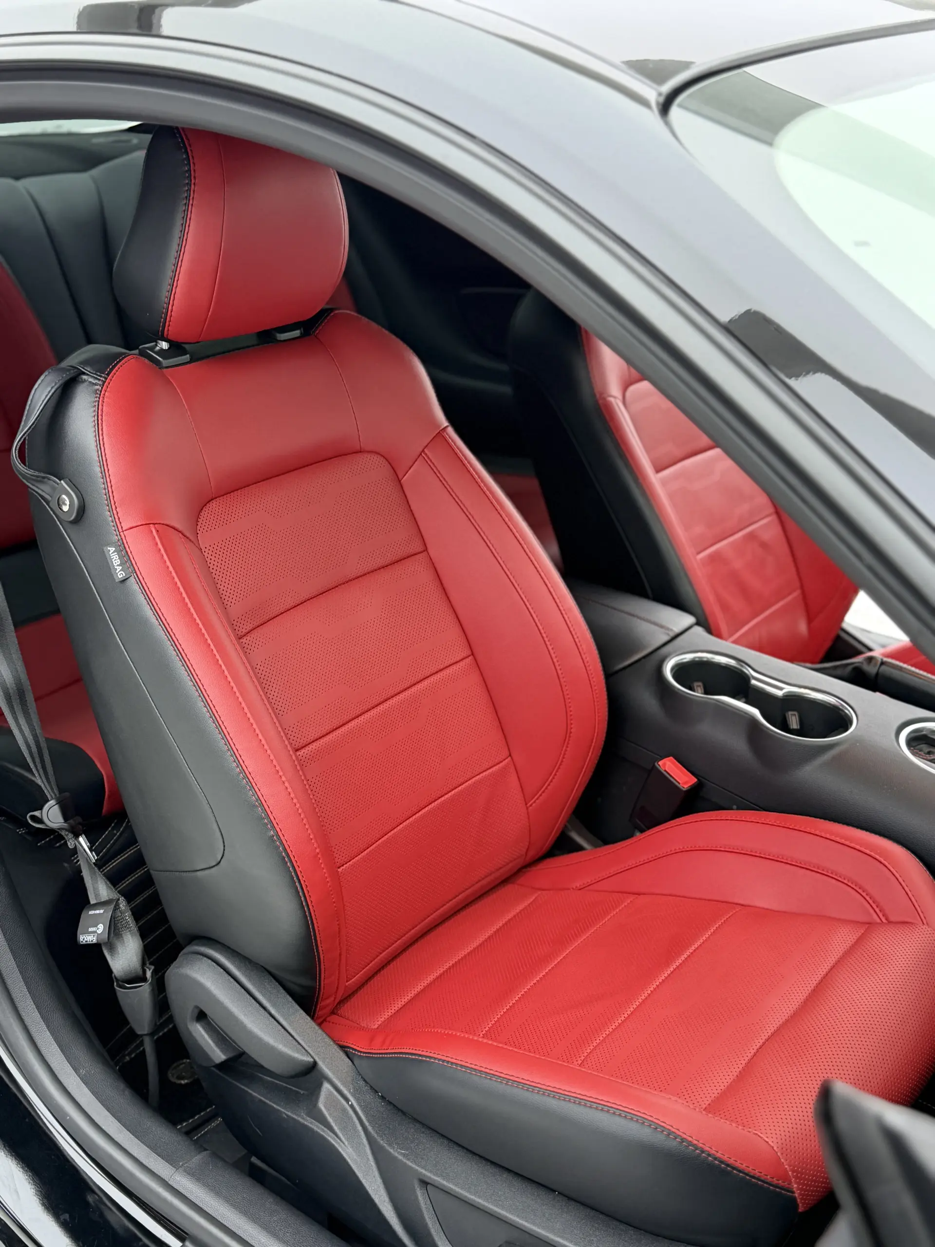 Ford Mustang, 2019 14