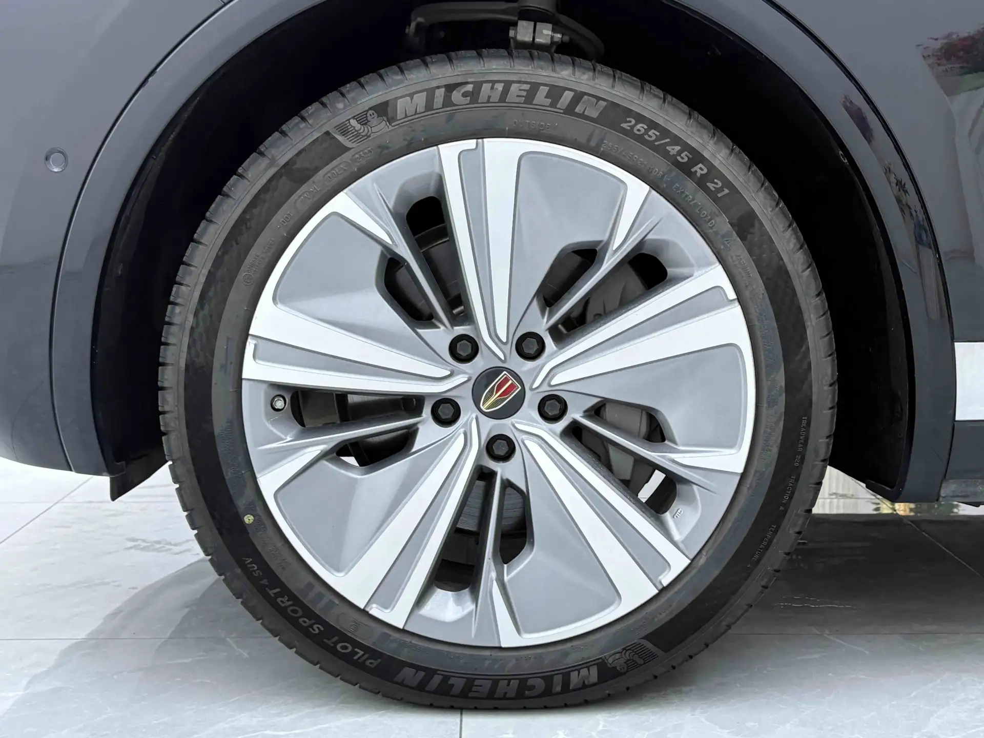 Hongqi E-HS9, 2023 26