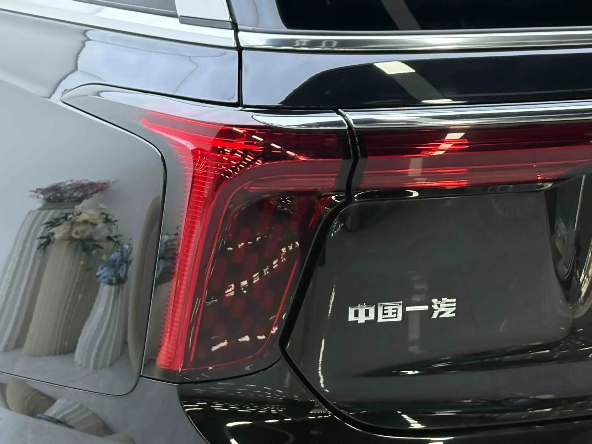 Hongqi E-HS9, 2023 25
