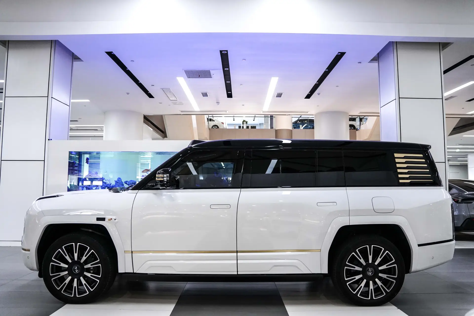 Yangwang U8, 2025 8