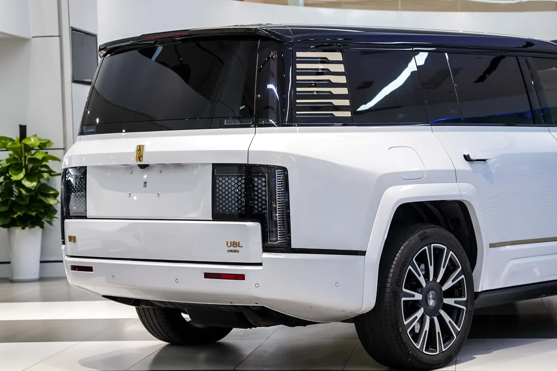 Yangwang U8, 2025 10