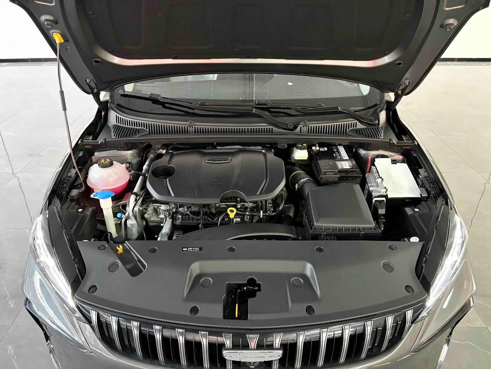 Geely Binray, 2026 10