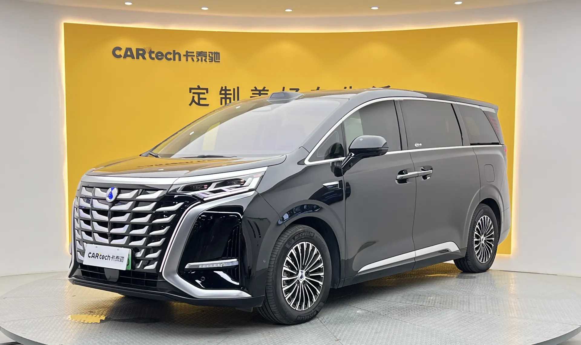 Denza D9
