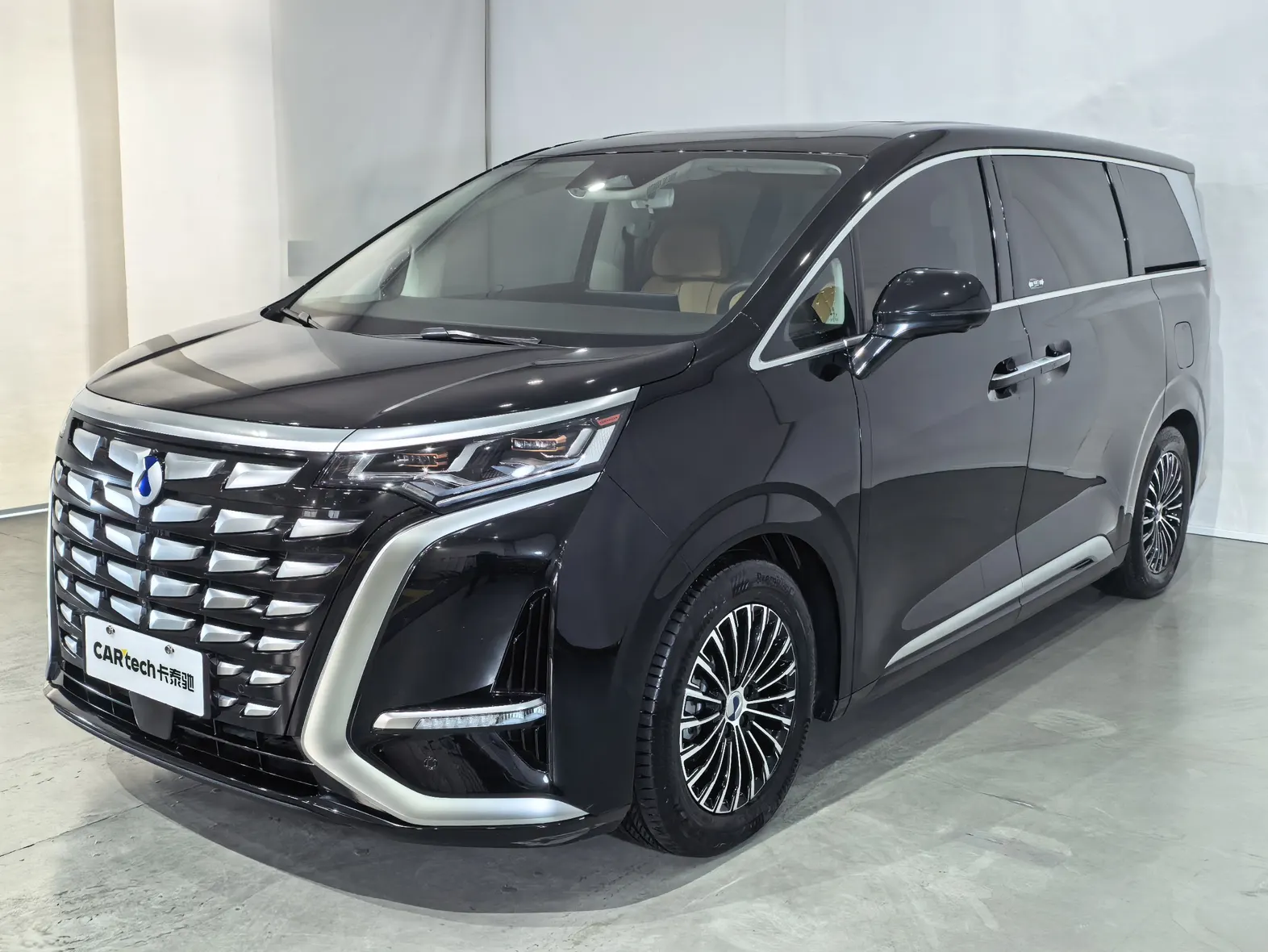 Denza D9