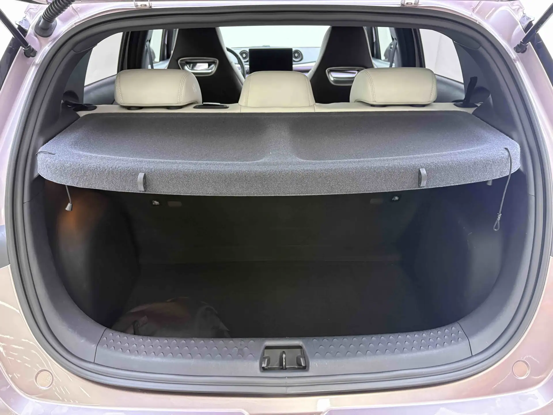 BYD Dolphin, 2023 20