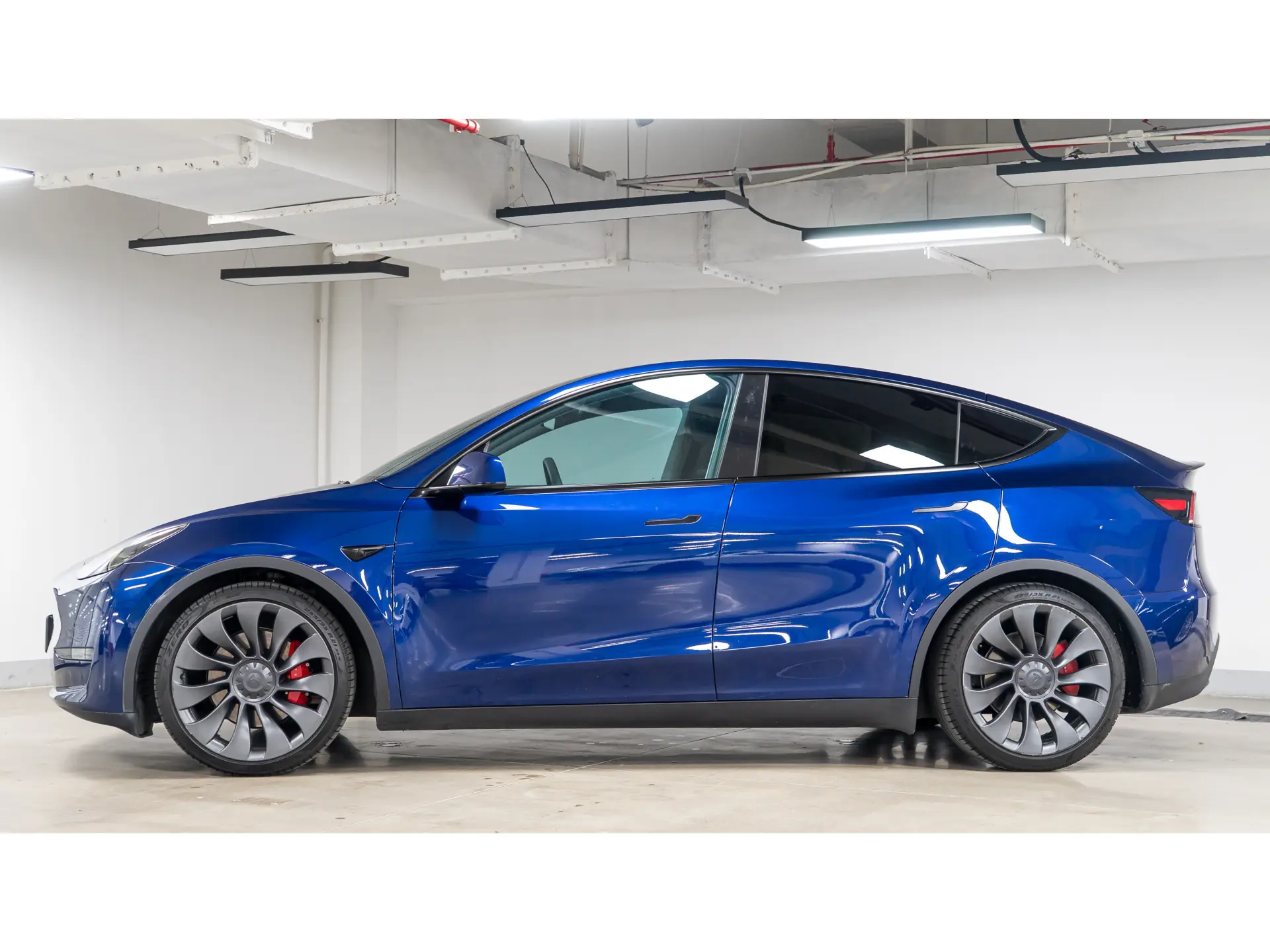 Tesla Model Y, 2022 все фото