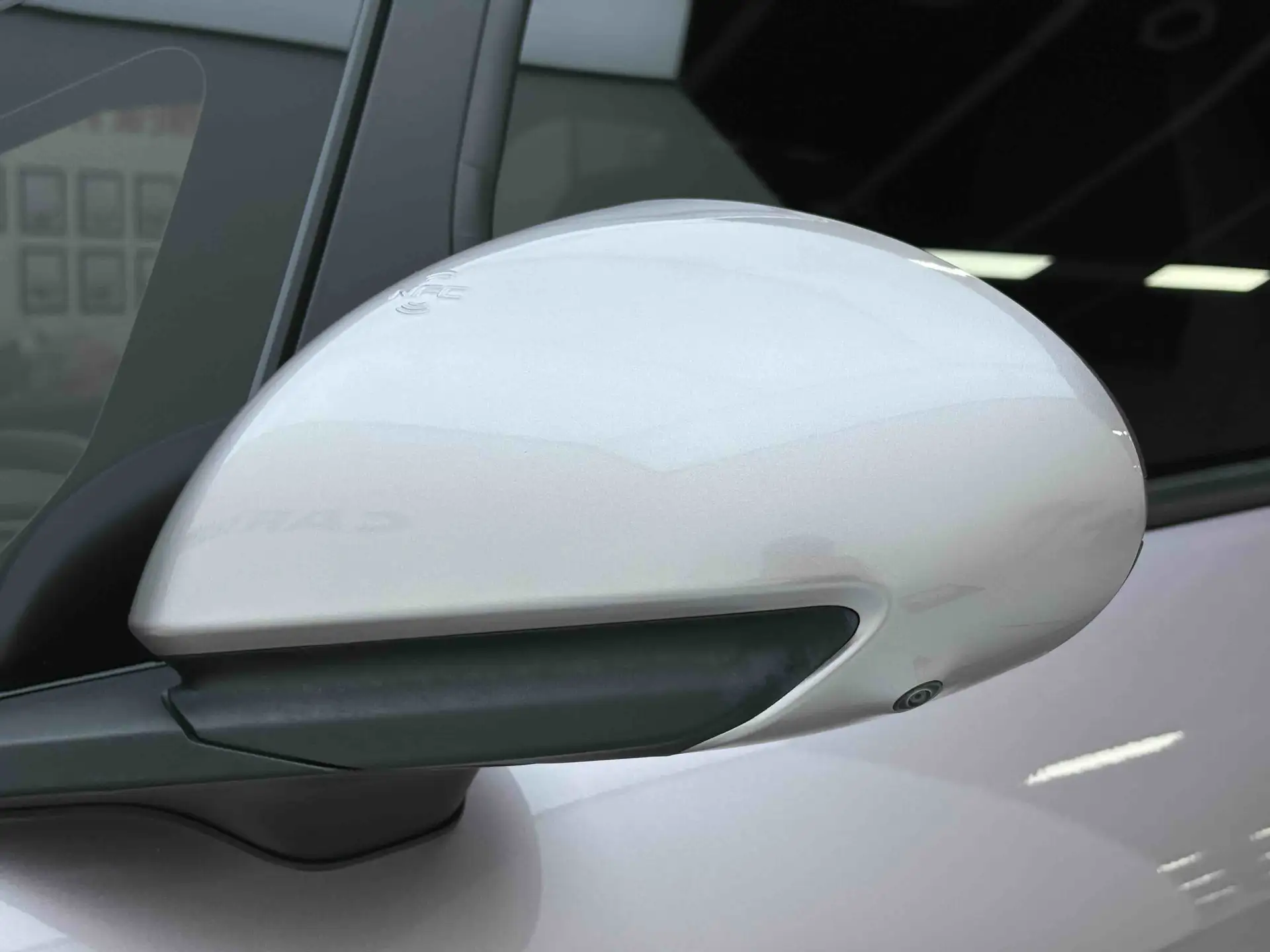 BYD Dolphin, 2023 23