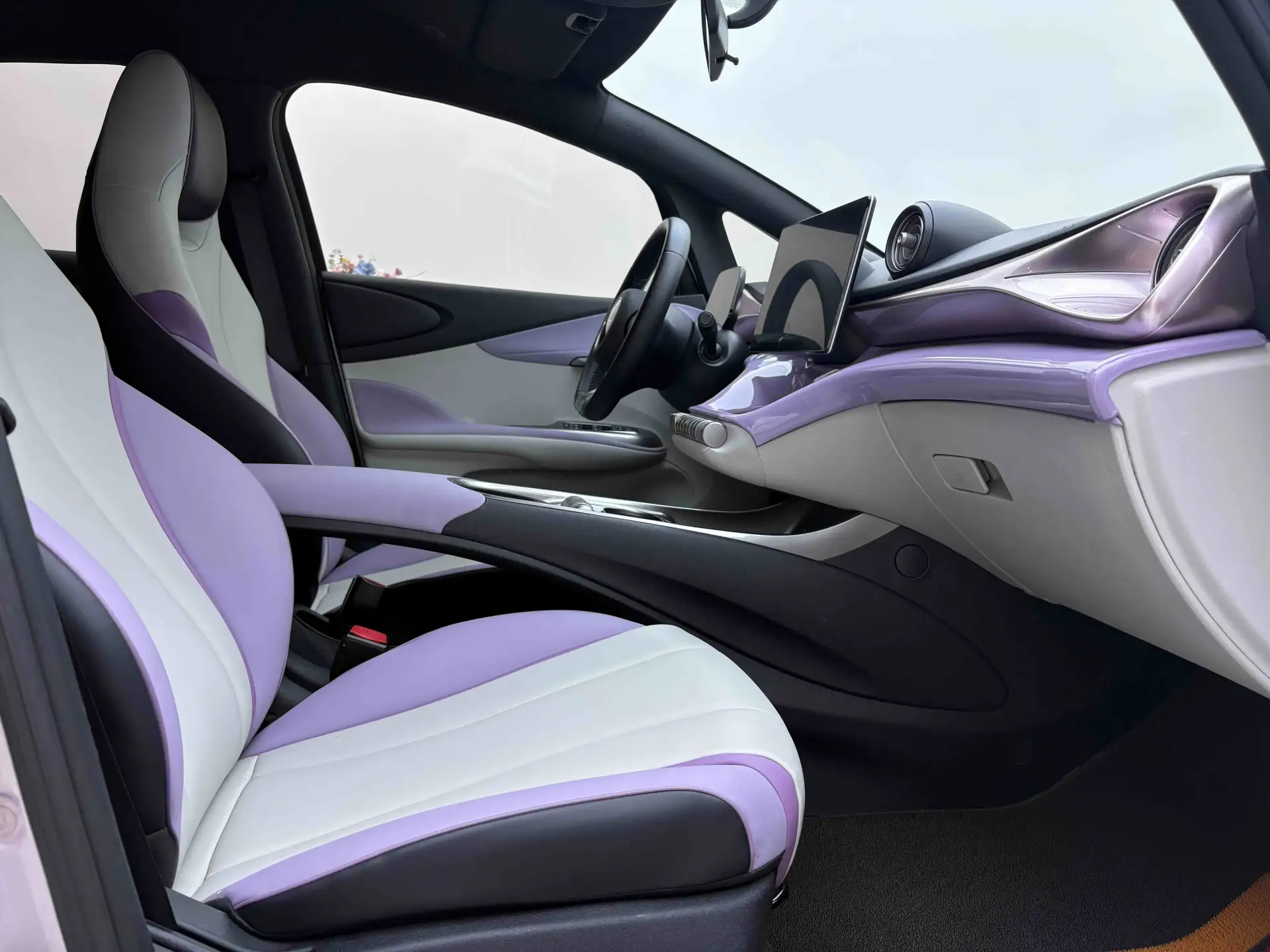 BYD Dolphin, 2023 18