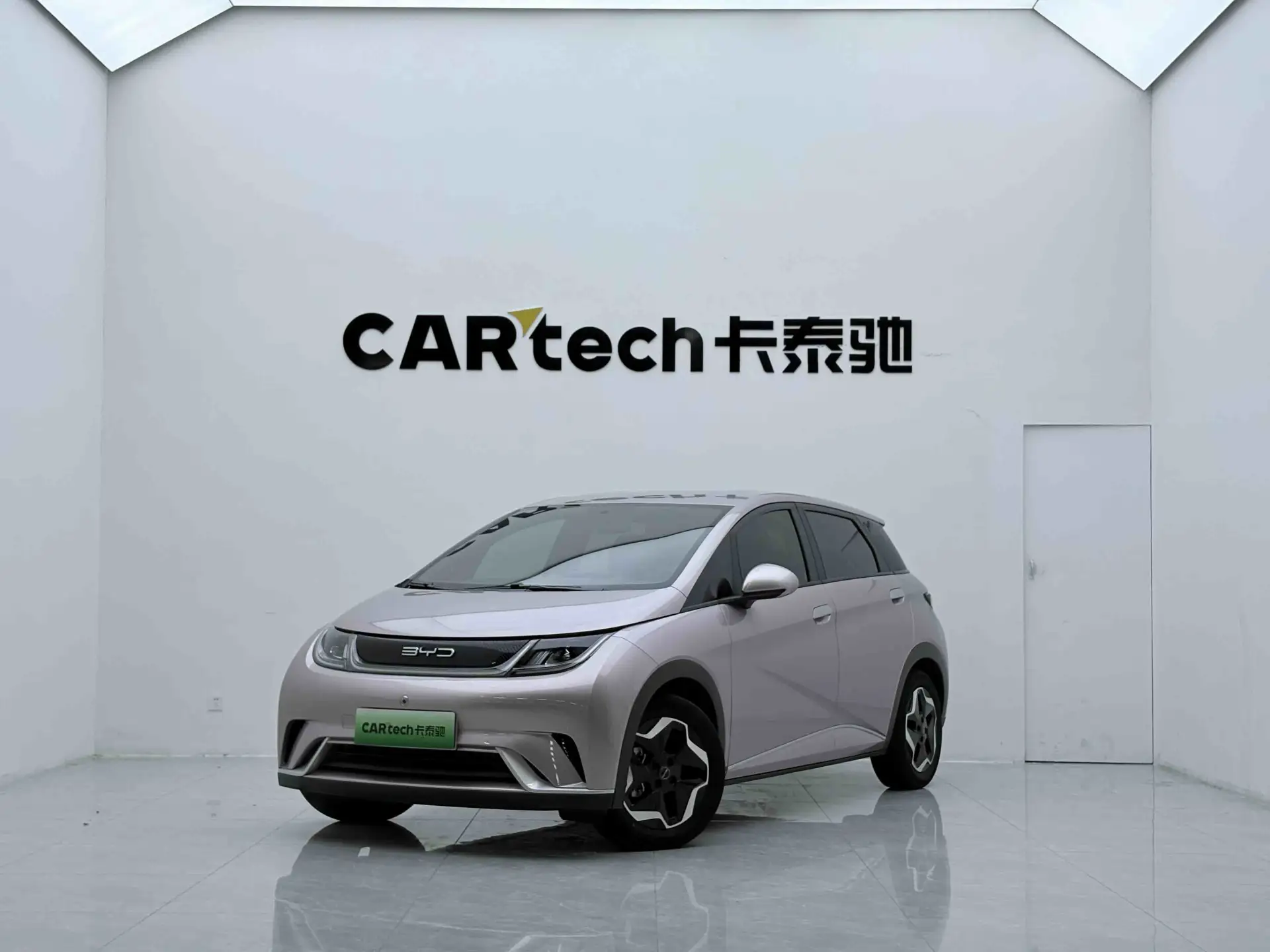 BYD Dolphin, 2023 1