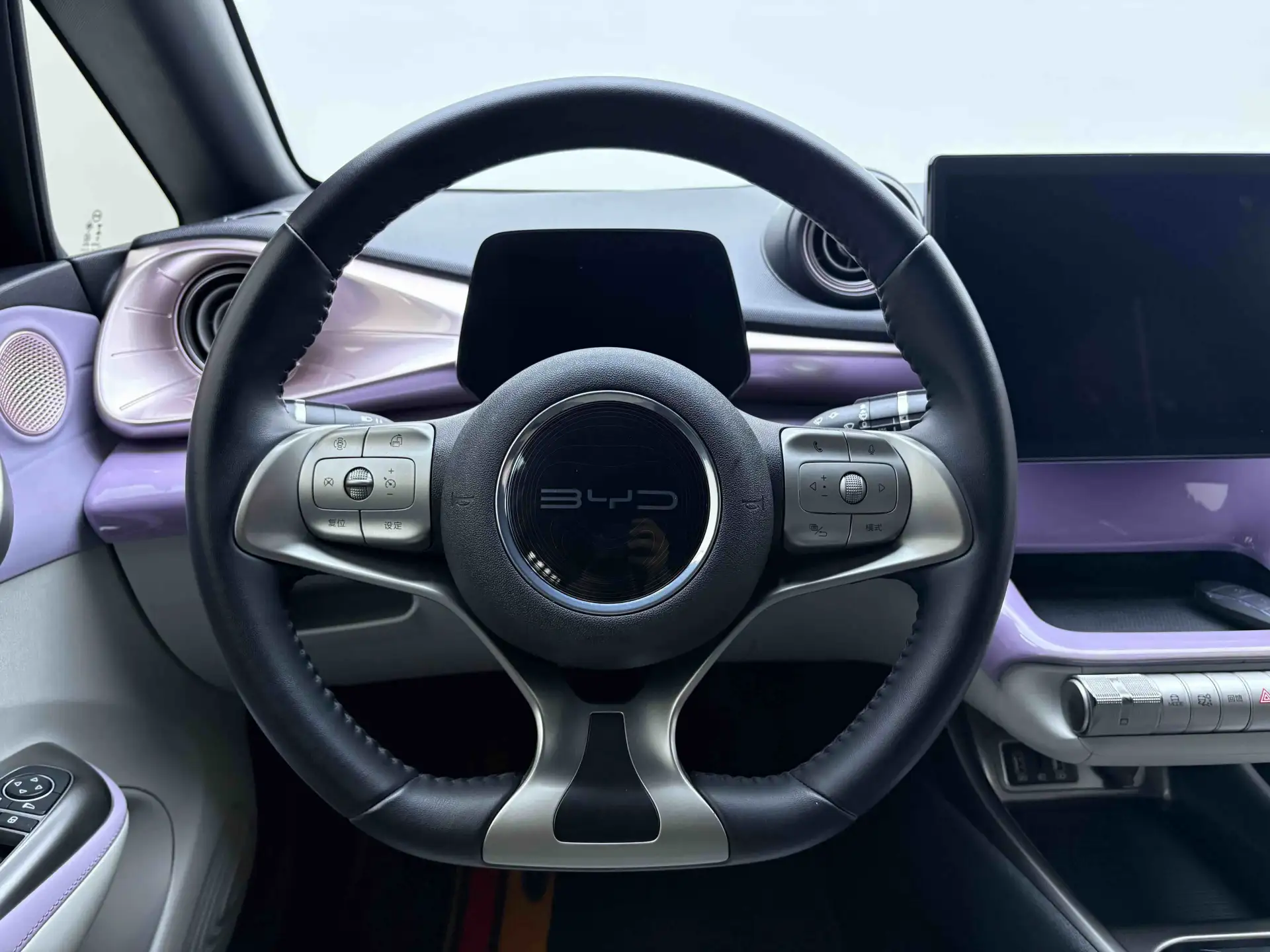 BYD Dolphin, 2023 10