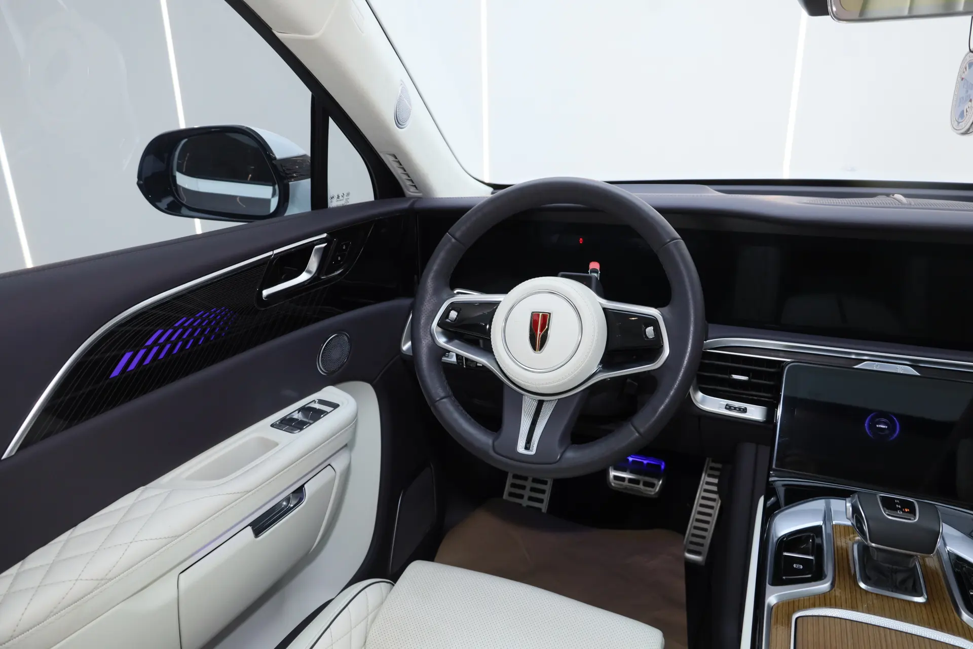 Hongqi E-HS9, 2022 17