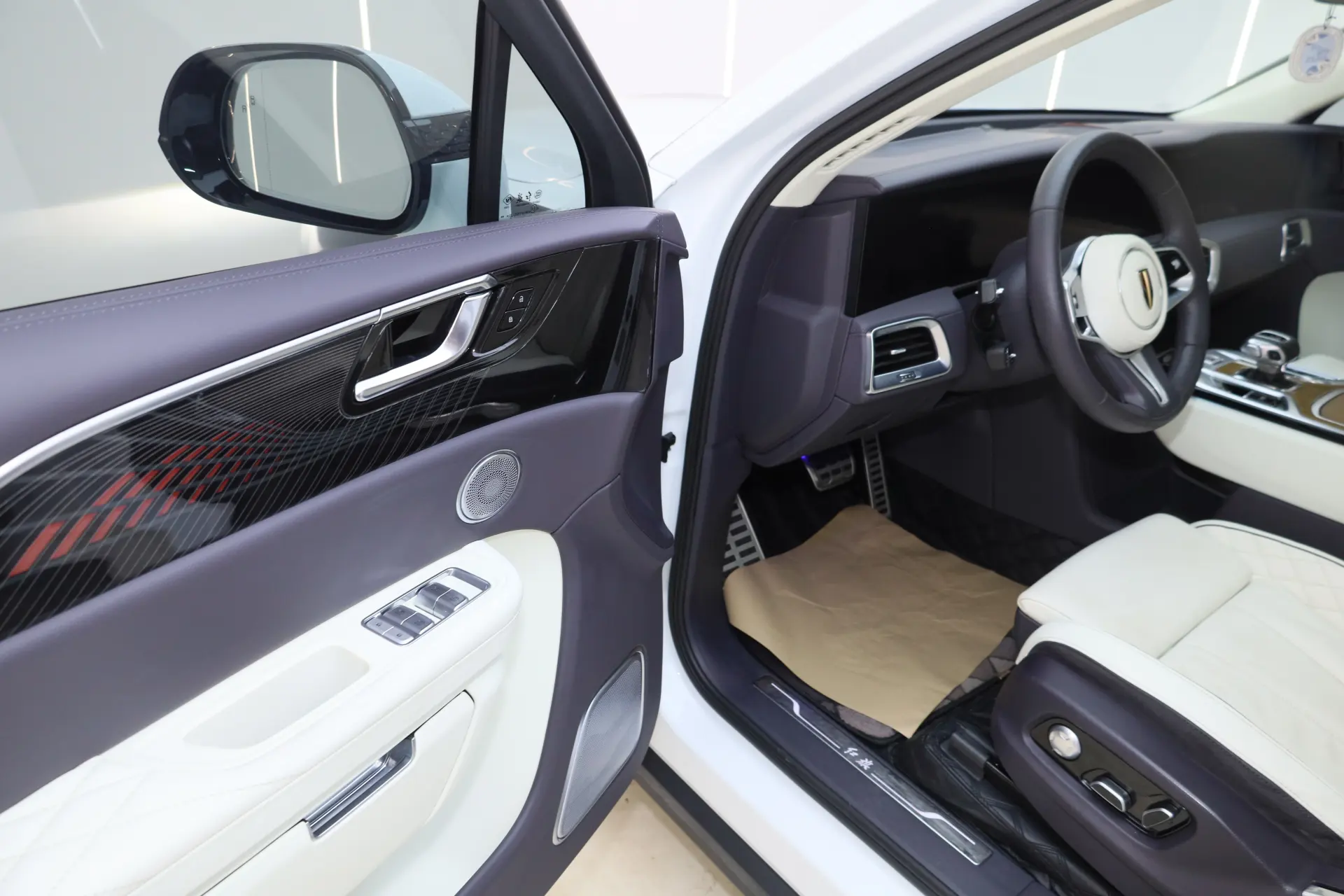 Hongqi E-HS9, 2022 30